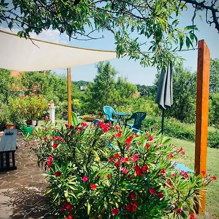 Panoramas Maganszallashely Privat Borterasszal Балатонсепезд